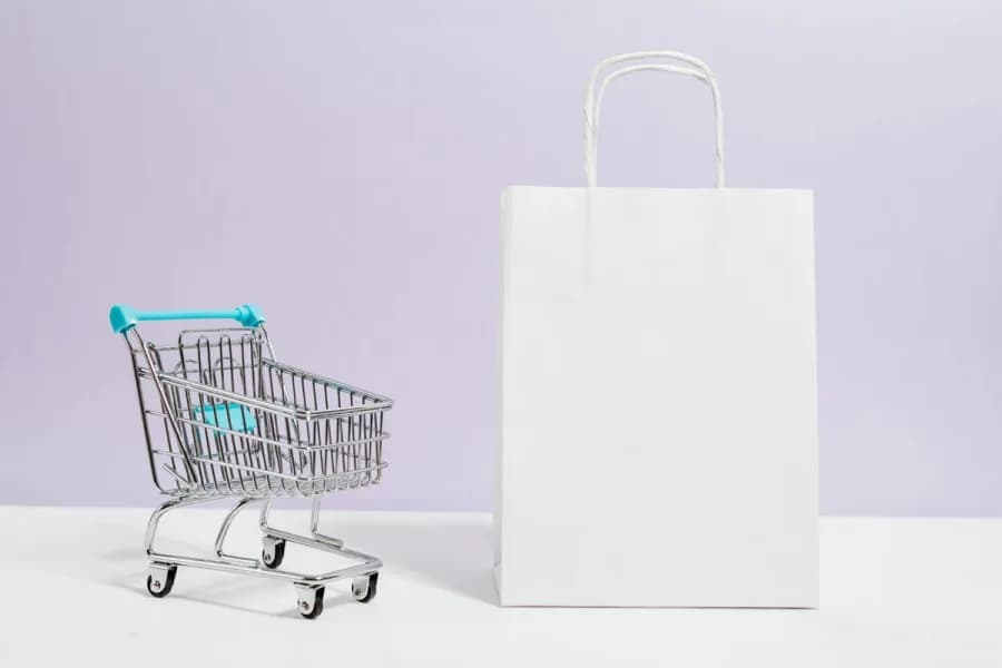 Shopping cart and shopping bag illustrating retail and B2B checkout on one storefront